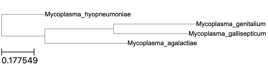 species-tree