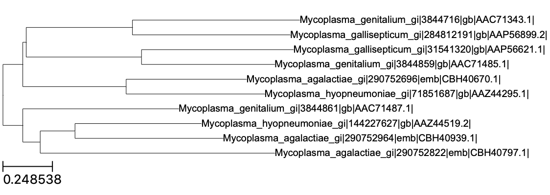 Phylogenetic analysis using Python - aliquote